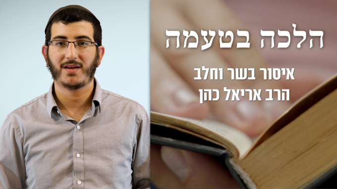 איסור בשר וחלב