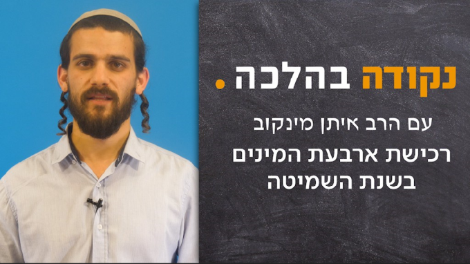 רכישת ארבעת המינים בשנת השמיטה 
