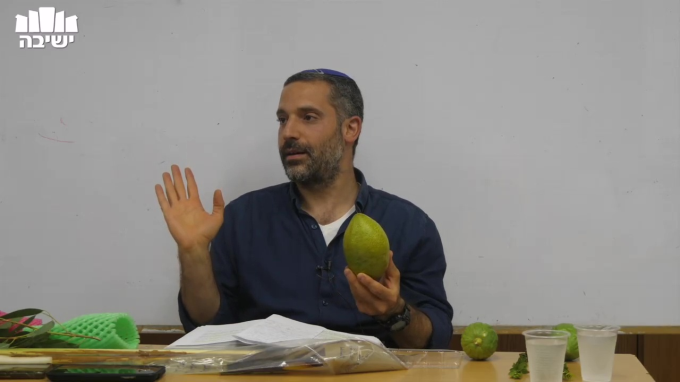 הלכות ארבעת המינים -הדגמה מעשית 