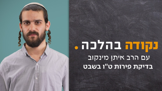 בדיקת פירות ט''ו בשבט