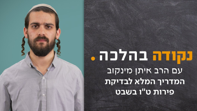 המדריך המלא לבדיקת פירות ט"ו בשבט