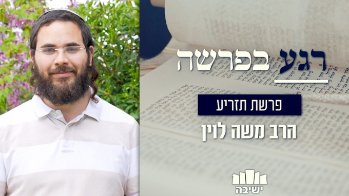 פריחת הגאולה! 