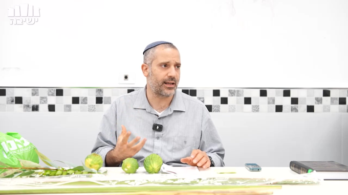 דיני ארבעת המינים הלכה למעשה