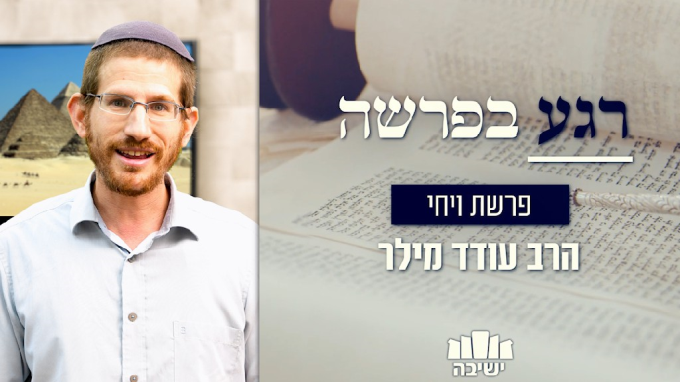 איך נראית נקמה יהודית?