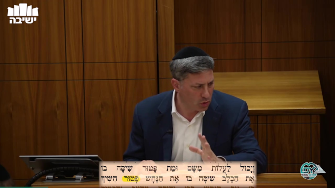 סנהדרין דף ע"ז