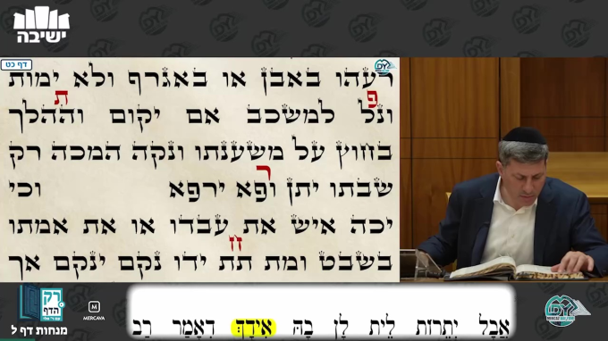 מנחות דף ל'
