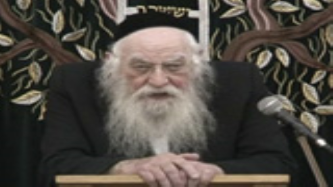 ראש השנה לאילן בשמיטה