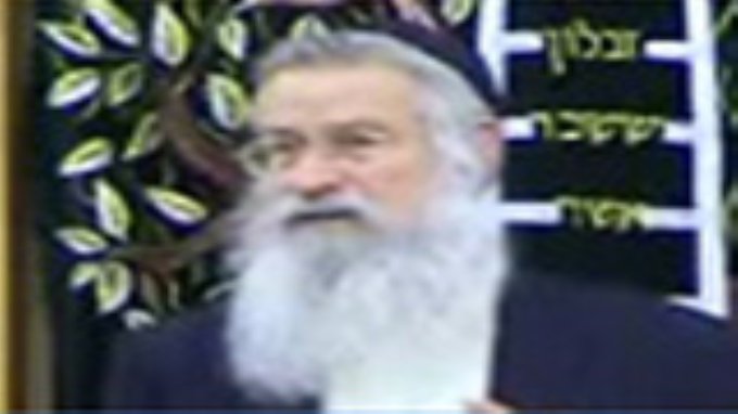 הידור מצווה בלולב