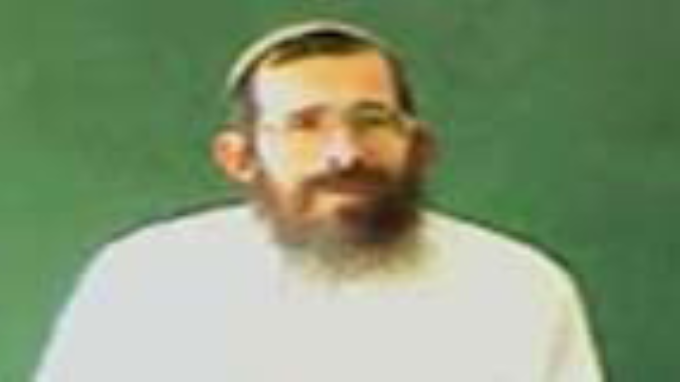 נויו של אילן
