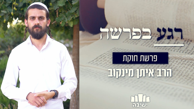 איך הפרה אדומה מכפרת על חטא העגל?