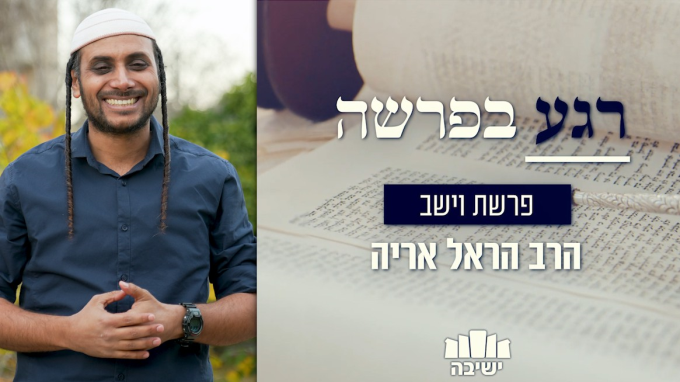 לקום מהתחתית של התחתית