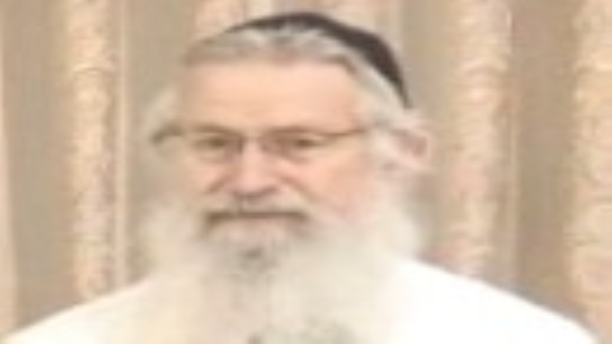 תורה עם דרך ארץ