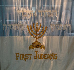 קובץ:First judean flag.jpg