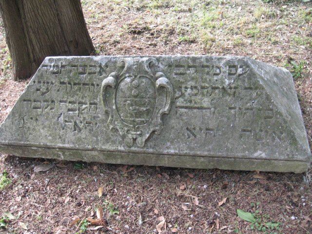 קובץ:Cimiterio ebraico di pisa 567.jpg