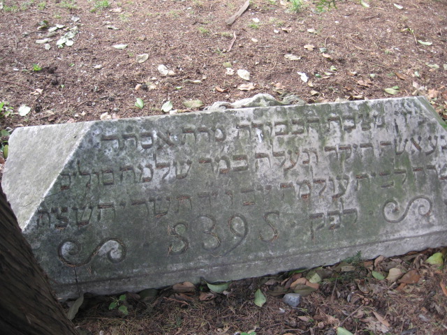 קובץ:Year 1635 cimiterio pisa ebraico.jpg