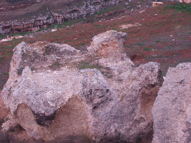 קובץ:A Rock-Hewn Altar Near Shiloh1.jpg