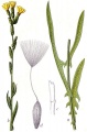 תמונה ממוזערת לגרסה מ־02:43, 24 בספטמבר 2008