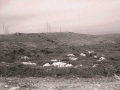 תמונה ממוזערת לגרסה מ־22:42, 28 באוגוסט 2008