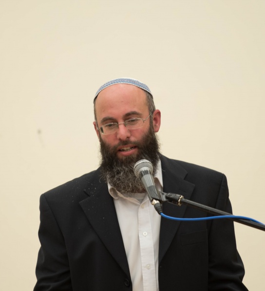 קובץ:Profiil.jpg