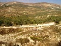 תמונה ממוזערת לגרסה מ־19:35, 28 באוגוסט 2008