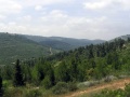 תמונה ממוזערת לגרסה מ־08:15, 25 בספטמבר 2008