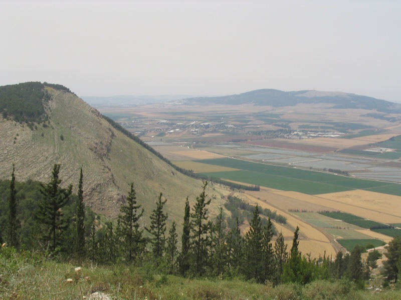 קובץ:Gilboa a.jpg