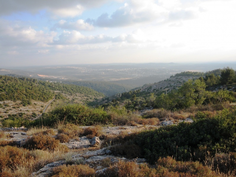 קובץ:Panorama to judea valley.jpg