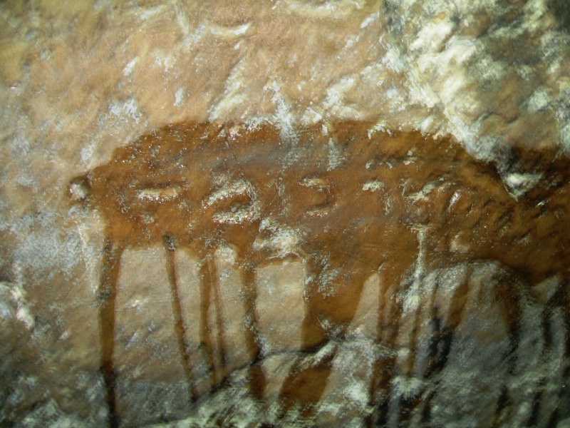 קובץ:Cave of elihau 6.jpg