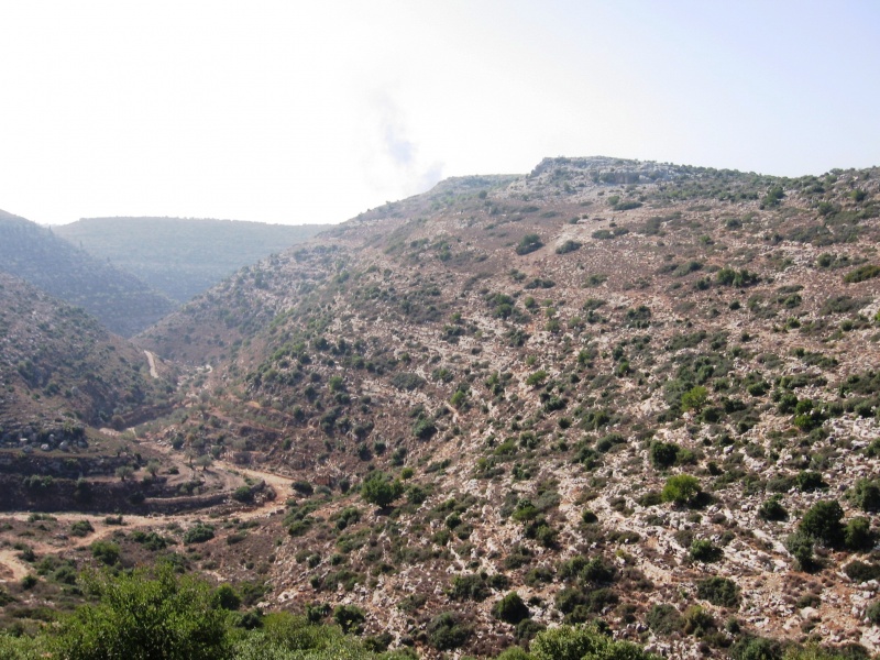קובץ:Admot medina.jpg