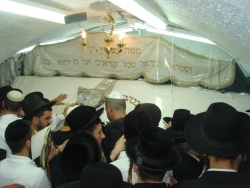 צילם:בית שלום