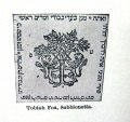 תמונה ממוזערת לגרסה מ־15:56, 5 ביוני 2012