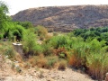 תמונה ממוזערת לגרסה מ־15:17, 22 באוקטובר 2008