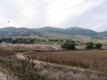תמונה ממוזערת לגרסה מ־14:22, 20 בנובמבר 2008