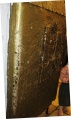 תמונה ממוזערת לגרסה מ־22:08, 19 בנובמבר 2008