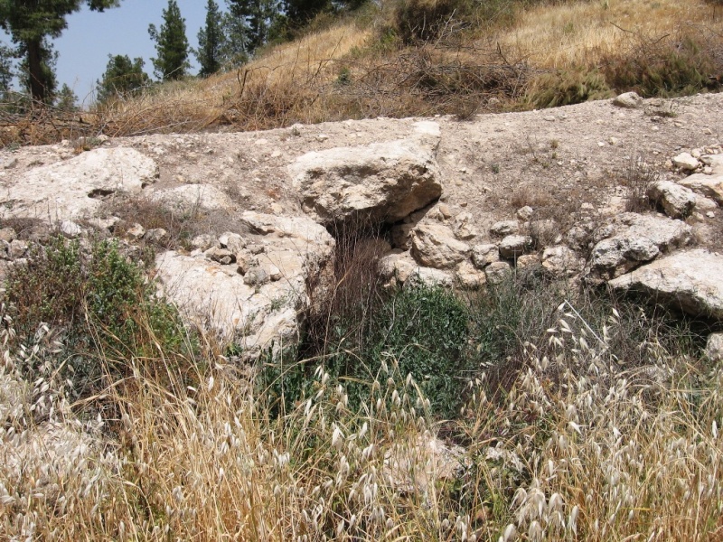 קובץ:Adullam CAVE 1VAAA.jpg