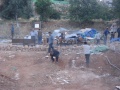תמונה ממוזערת לגרסה מ־12:15, 20 בנובמבר 2008