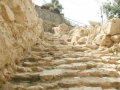 תמונה ממוזערת לגרסה מ־13:15, 5 באוקטובר 2008