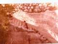 תמונה ממוזערת לגרסה מ־19:51, 18 בספטמבר 2008