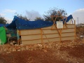 תמונה ממוזערת לגרסה מ־12:17, 20 בנובמבר 2008
