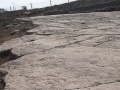 תמונה ממוזערת לגרסה מ־21:28, 9 בספטמבר 2008
