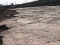 תמונה ממוזערת לגרסה מ־21:29, 9 בספטמבר 2008