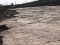 תמונה ממוזערת לגרסה מ־15:55, 2 באוקטובר 2008