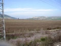 תמונה ממוזערת לגרסה מ־17:01, 19 בנובמבר 2008