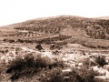 תמונה ממוזערת לגרסה מ־22:44, 28 באוגוסט 2008