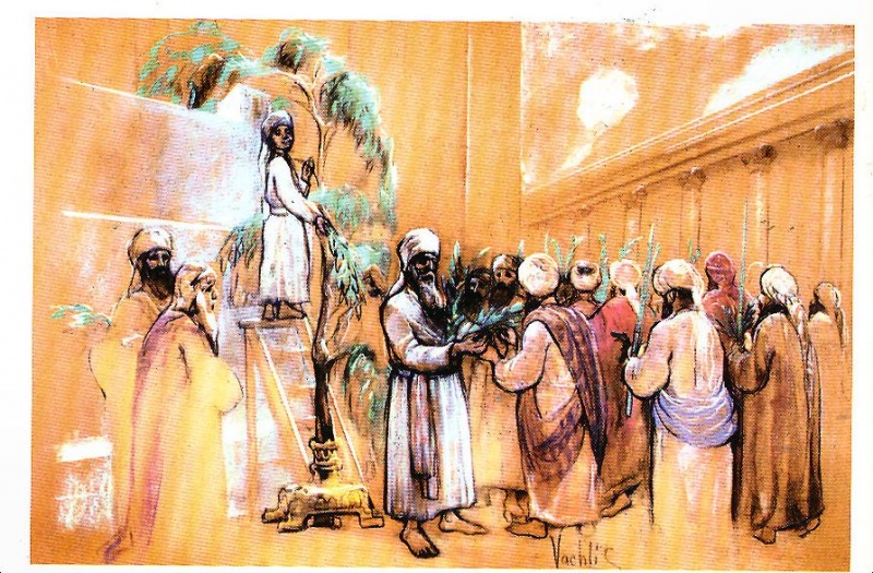 קובץ:Aravot bamikdashA.jpg