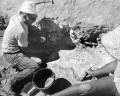תמונה ממוזערת לגרסה מ־14:30, 5 בספטמבר 2008