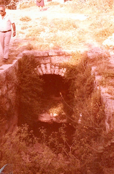 קובץ:Givon pool 4.jpg