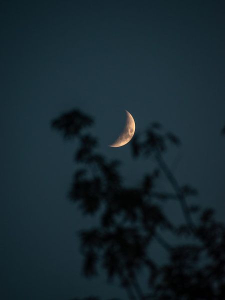קובץ:Moon.jpg