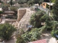 תמונה ממוזערת לגרסה מ־19:02, 2 באוקטובר 2008