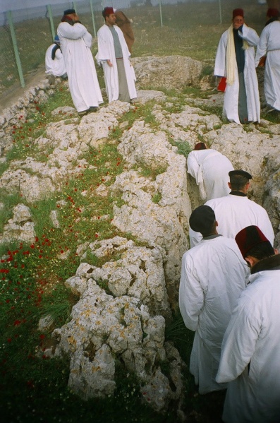 קובץ:04580004.jpg